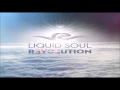 Download Lagu Liquid Soul - Revolution [Full Album]