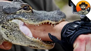 ТОП-5 САМЫХ БОЛЕЗНЕННЫХ УКУСОВ | Койот Питерсон на русском