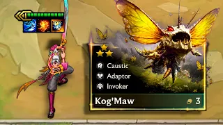 BIS Yi Opener Into Adaptor Reroll