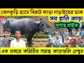 Download Lagu ১৭ই আশ্বিন,বেলকুড়ি গ্ৰামে বিরাট কাড়া লড়াইয়ের ডাক দিলেন★সব হালি কাড়া,দূর্দান্ত প্রাইজ★আজকের খবর।