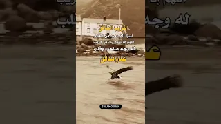 القريب المنافق 