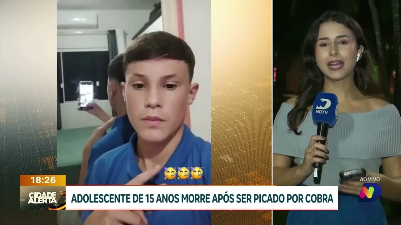 Adolescente de 15 Anos morre após ser picado por cobra