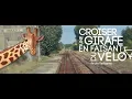 TEASER - Croiser une Girafe en Faisant du Velo