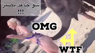 arab ass shaking and twerking season 4