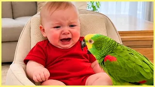 🤣OMG! I Can't Believe These Baby Reactions!