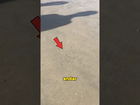 Podrías pisar esto SI ANDAS DESCALZO