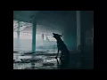 Jesse Baez, Fuego - Tema 1 (SWOOSH)