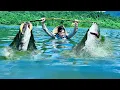 Download Lagu Traditional Fishing Skills - Single Mother Catches Giant Fish with Bamboo Tube in Deep Water