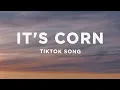 it s corn kid tiktok song it s corn a big lump of knobs