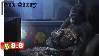 the one and only ivan 2020 movie full hd explained in hindi u0026 urdu