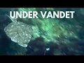 Under Vandet - Sluseholmen København 2017 - Underwater // Waterwolf