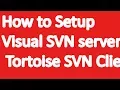 How to setup Visual SVN server and Tortoise SVN Client