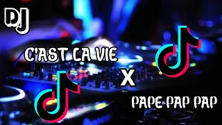 Download DJ C'AST LA VIE x PAP PEP PA PAP TERBARU 2020 MP3