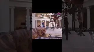  جدي  اكسبلور  رمضان كريم ميمز دندنها