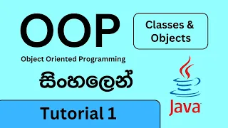 OOP - Classes and Objects Java
