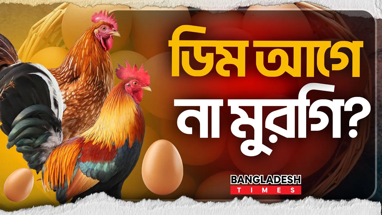 ডিম আগে, না মুরগি? অবশেষে রহস্য ফাঁস!