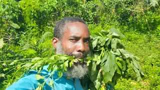Just 1 Serving of These 2 Greens Is Worth GOLD! (Most People Don’t Know This)