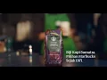 Download Lagu Indonesia, Are You Ready?
