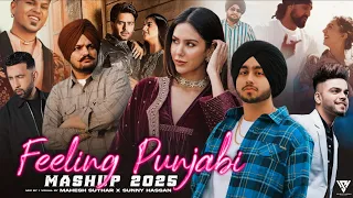 feeling punjabi mashup 2025 shubh ft sonam bajwa sidhu moosewala the prophec sunny hassan