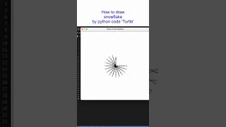 How create a snowflake by python code Turtle