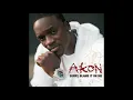 Akon - Sorry, Blame It on Me (Audio)