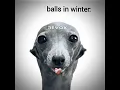 Download Lagu balls in winter ☠️❄️ #memes #funk #funny #viralvideo #football #hearttrend #fyp #edit #subscribe