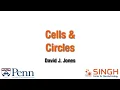 07 Cells Circles LayoutEditor Training