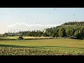 Megan Moroney - Wish I Didn't (8D)