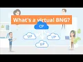 What is a Virtual BNG vBNG Mettle Networks