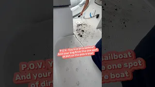 Our sailboat puppy #yorkie #puppy #guiltydog #sailingbyefelicia