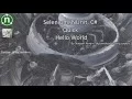 Automated Testing in Nunit Selenium using C Sharp Hello World