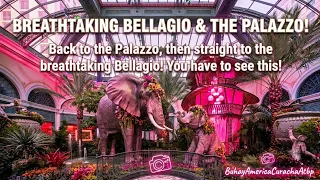We Thought Palazzo Was Nice Until We Saw THIS Bellagio Hotel