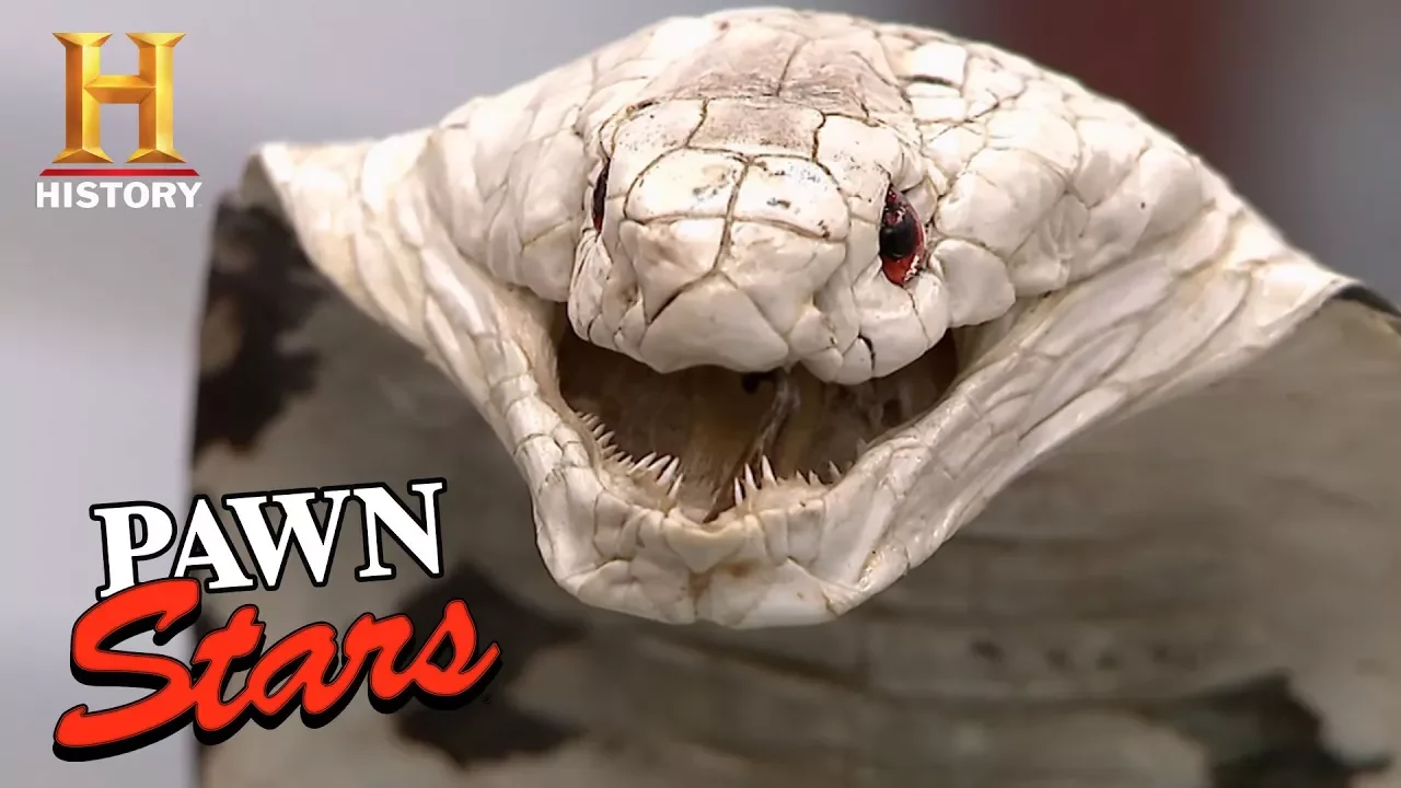 Swamp Pawn : Season 2 : Episode 110 : Preview