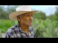 Viejo Padre y Hermano - Los Del Coronel (Video Oficial)