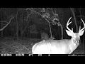 Scouting for Deer in Late October in East Tennessee Public Land