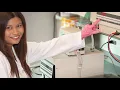 Ohio State Global One Health Impact