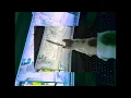 Selin - NE SENLE NE SENSİZ slowed and reverb to perfection