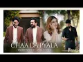 Download Lagu Chaa Da Pyala | Slowed Revarb | Tahir Nayyer | Ft. Sahil Nayyer | Official 