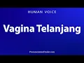 How To Pronounce Vagina Telanjang