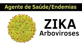 Zika - Arboviroses causadas pelo Aedes Aegypti - Agente de Saúde e Agente de Endemias