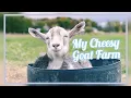Lagu My Cheesy Goat Farm | Off Grid Sustainable Goat Cheese Farm in Portugal | Auroras Eye Films