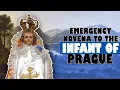 Emergency Novena to the Infant of Prague in urgent need for nine hours or nine days