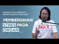 Download Lagu OSR - Pembersihan Organ dari Stress - Meditasi SOUL Reflection Online