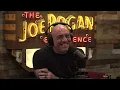 Joe Rogan Experience #2365 - Rep. Anna Paulina Luna