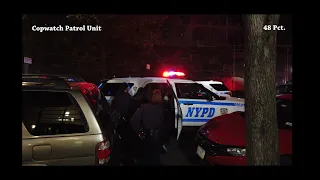 48 Pct - Emotional Disturb Person Is Dragged Into An NYPD Cruiser