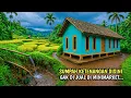 Lagu SERIUS.. ⁉️ RASANYA DAMAI BANGET ENAK DI LIHAT SUASANA PEDESAAN TERINDAH DI JAWA BARAT