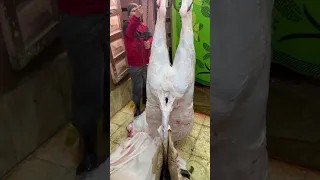 اخطر معلم الباشا اروع شغل رفع عجل الثقيل في الونش استخراج جلد من داخل ضهري العجل بكل 