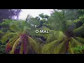 Channel