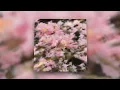 Adam Dodson - Gifts To Your Future Self 1 Hour Loop
