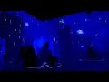 Immersive Van Gogh